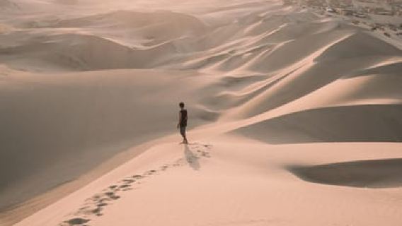 Doha: Safari, Camel Ride, Sandboarding and Inland Sea Tour