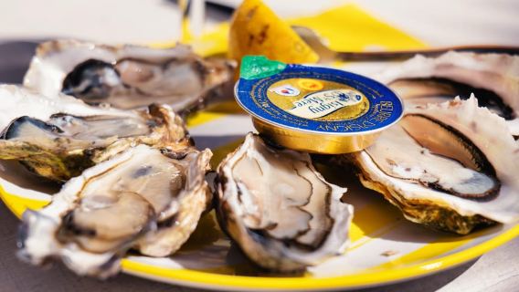 Da Bordeaux: tour di un giorno intero nel bacino di Arcachon e pranzo a base di ostriche