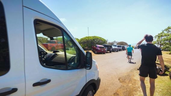 From Maui: Road to Hana Rainforest and Waterfall Experience