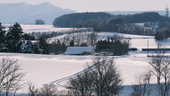 日本北海道旭川美瑛｜白鬚瀑布｜孤獨聖誕樹｜札幌來回｜中文專車
