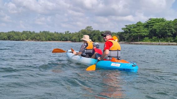 Berkayak Keliling Ketam di Pulau Ubin