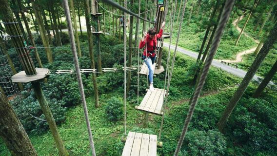 Fukuoka: Guided Walking Tour