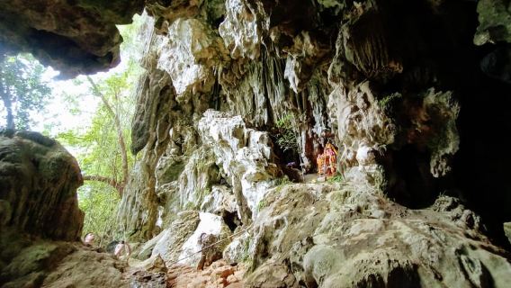Khao Sok: Cheow Larn Lake, Jungle Walk & Cave Explorer
