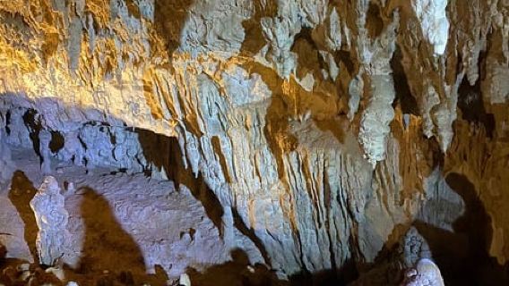 From Auckland Waitomo Glowworm & Cave Explorer Private Tour