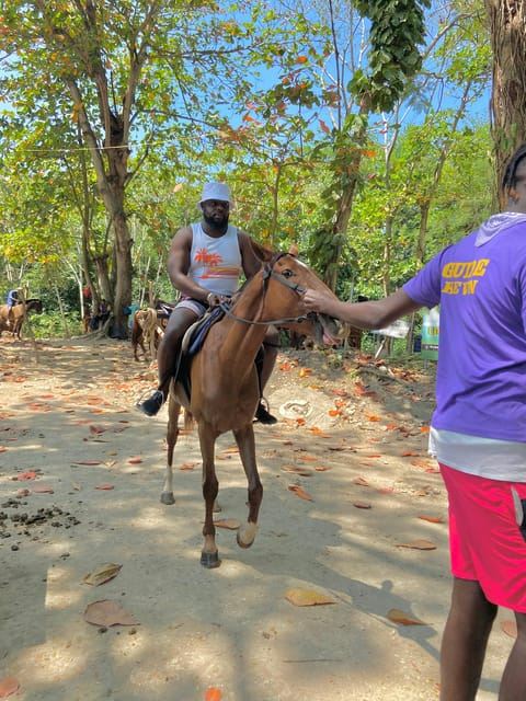 St. Ann: Horseback Riding in St. Ann's Bay