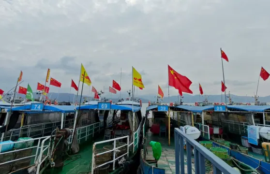 浙江寧海灣出海捕魚/海上觀光/拉地籠/海上漁民體驗【船上海鮮餐/小普陀觀光遊玩/包船出海】