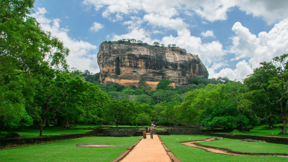Sigiriya: Lion Rock & Minneriya Safari Full Day Private Tour