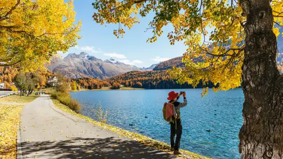 From Milan: St. Moritz and Panoramic Bernina Express Tour