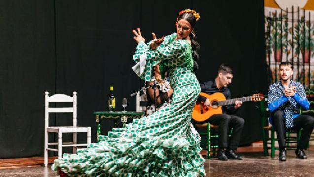 Torremolinos : Spectacle de flamenco avec dîner et boissons