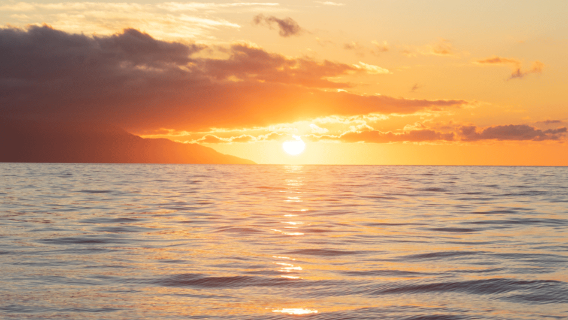 Excursion en catamaran au coucher du soleil