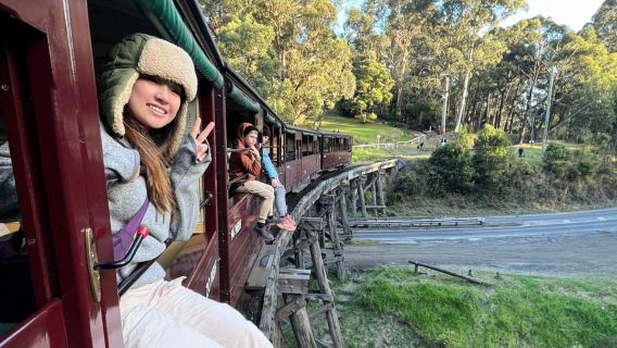 Melbourne: Half-Day Puffing Billy Steam Train Experience