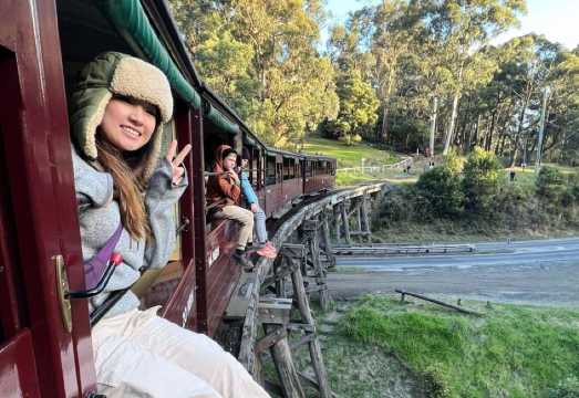 Melbourne Half-Day Puffing Billy Steam Train Experience