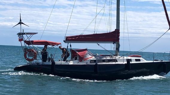 Mini Cruzeiro para Puerto de la Duquesa a partir de Sotogrande