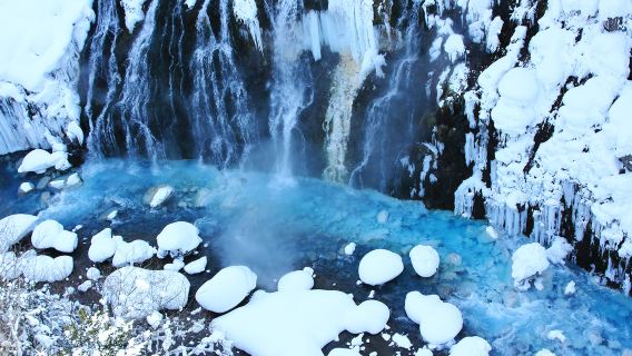 Excursion d'une journée au zoo d'Asahiyama, à la terrasse des elfes et à l'étang bleu de Hokkaido|Option petit groupe de 9 à 13 personnes