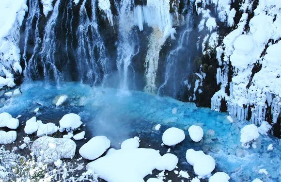 北海道旭川市旭山動物園&精靈露台&白鬚瀑布&青池一日遊