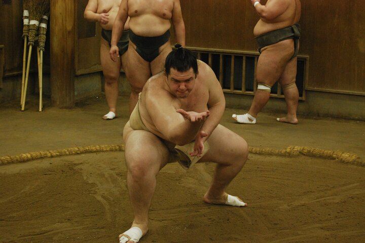 Tokyo: visita alle stalle di sumo e guarda l'allenamento mattutino dei lottatori giapponesi