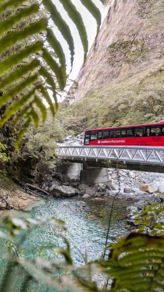Southern Discoveries/RealNZ Milford Sound / Piopiotahi 1-Day Tour Queenstown Bus Round-Trip Te Anau