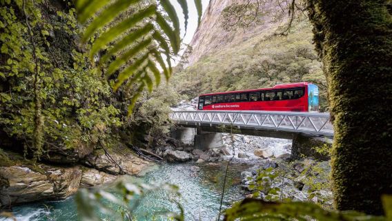 Milford Sound 1-day tour