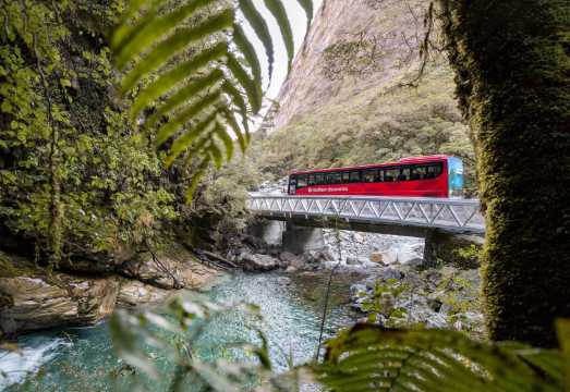 Milford Sound one-day tour