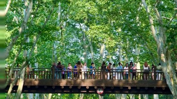 【精緻私享私人導覽】中山陵景區+音樂台+美齡宮+梧桐大道3小時人員導覽+高清耳麥