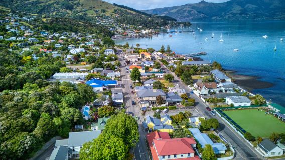 紐西蘭·基督城羊駝農場+阿卡羅阿小鎮+黑貓遊輪追逐海豚之旅