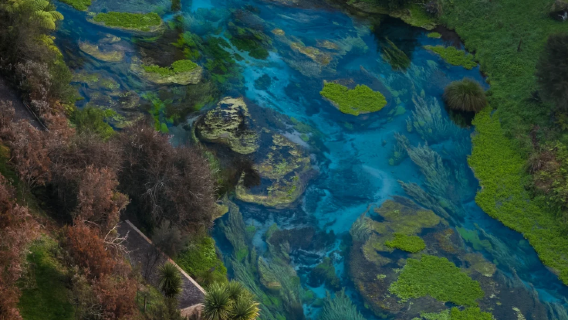 （包車）紐西蘭羅托魯瓦│藍泉+胡卡瀑布+陶波湖+飛機麥當勞