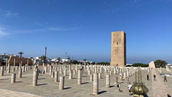 摩洛哥全境 旅遊陪同翻譯 展會翻譯 當地自由行地接 接機 （可私人定制）