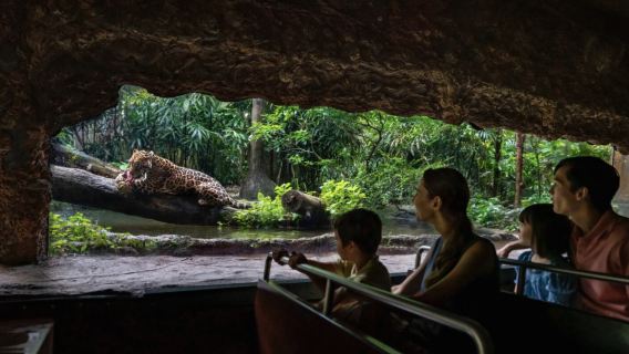 Singapore Private Charter: Zoo & River Wonders Day Tour | See Giant Pandas & Rainforest Animals