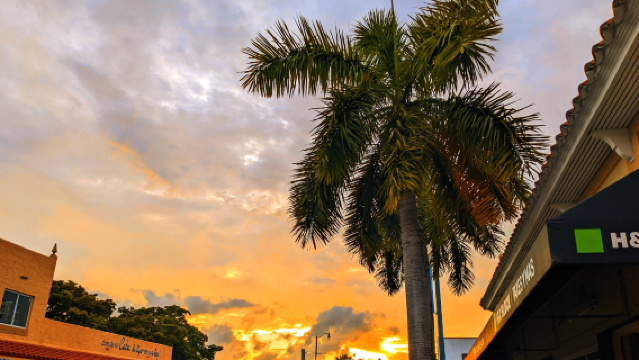 美國 邁阿密-小哈瓦那徒步一日遊（可定制周邊遊）飯店接駁