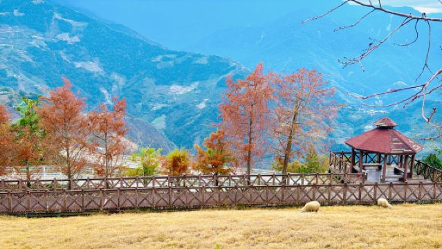 Sun Moon Lake & Cingjing Classic One-Day Tour | Departure with 2 People