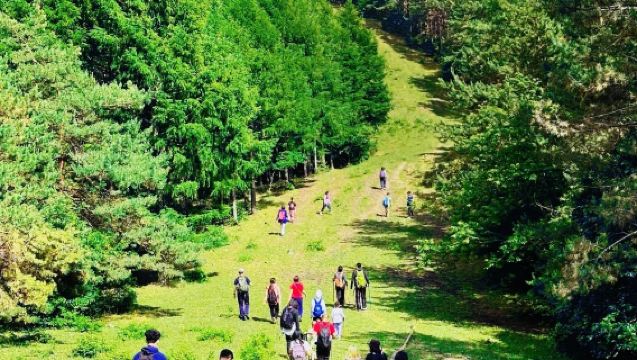 【聚會*團建*親子】長春九台馬鞍山土門嶺徒步穿越挖野菜一日遊