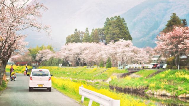 Day Trip to Dazaifu Tenmangu Shrine, Beppu Ropeway, and Yufuin Kinrinko Lake in Oita, Japan