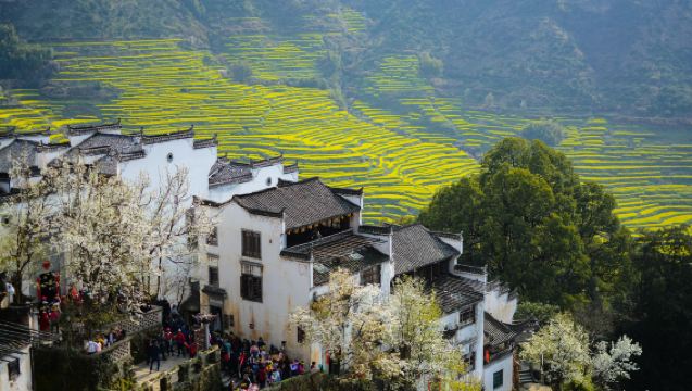 Wuyuan Huangling Day Trip [Terraced Fields and Rapeseed Flowers | Round-trip Cable Car Included | Guided Tour | Daily Departures]