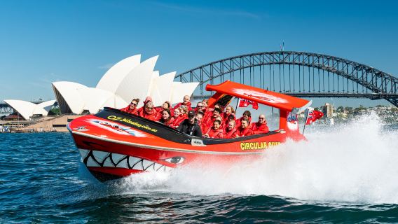 Lazy cat Sydney harbor speedboating to see the opera house and harbor bridge
