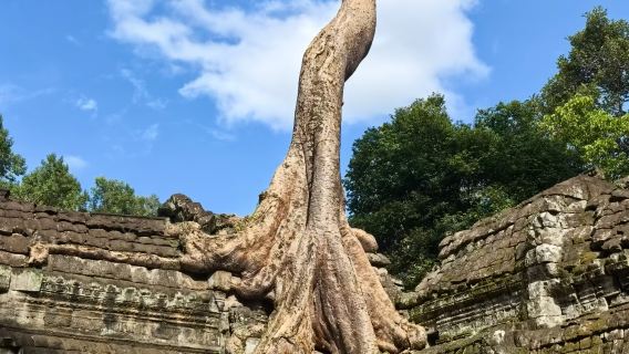 1-day private charter tour of Angkor Wat small circuit in Siem Reap, Cambodia [Angkor Wat + Bayon Temple + Phnom Bakheng]