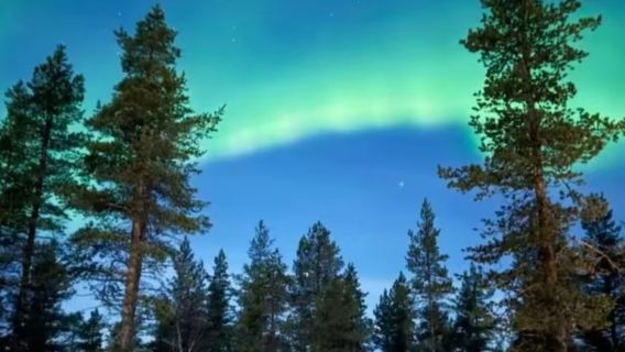 Finland Rovaniemi + Kampung Santa Claus + Sewaan Peribadi + Lawatan Sehari Keluarga Terpilih
