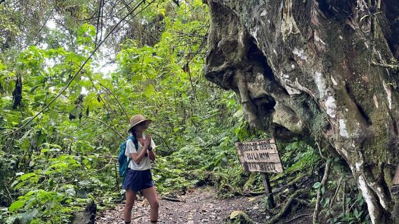 San Pedro La Laguna: Hike to San Pedro Volcano with Views of the Lake