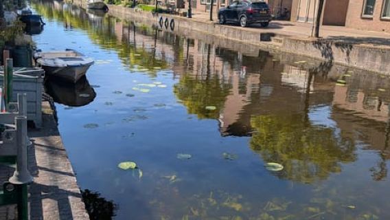 Discover Leiden: Hidden Golden Age Tip Based Tour