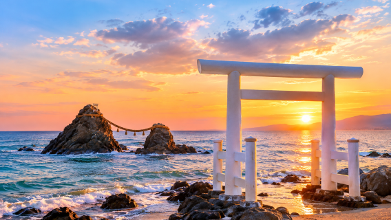 Fukuoka Itoshima 1-day tour | Daily departure | Totoro forest · Shiraito waterfall · White torii | Multilingual