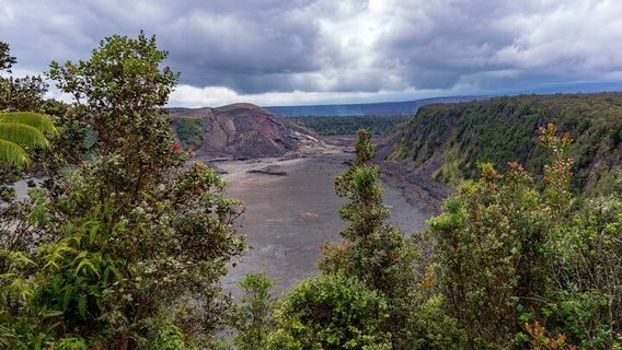 The Big Island (Hawaii island)Tours