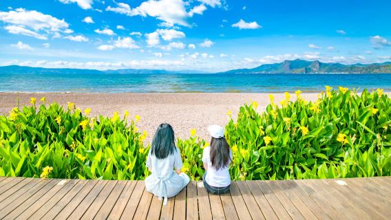 昆明石林+撫仙湖一日遊【原創東岸180°環湖丨臻享獨立包團】