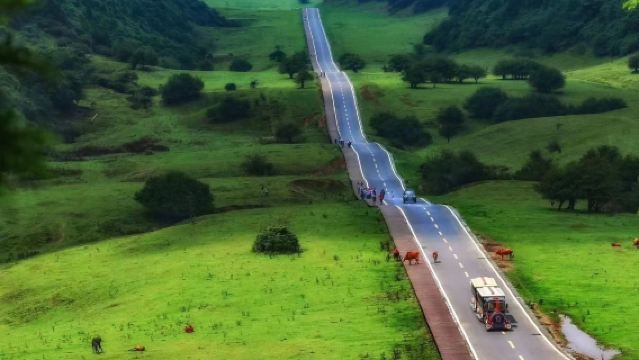 重慶武隆天生三橋+仙女山+烏江畫廊包車一日遊