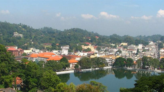 康提日遊