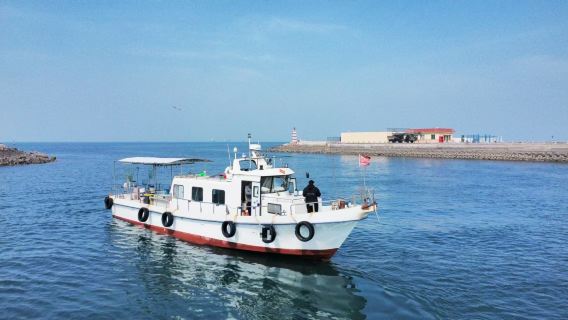 山東青島海釣/出海海釣4小時/漁民體驗【提供釣竿魚餌/可預約體驗夜釣/船長教學服務/團建聚會優選】