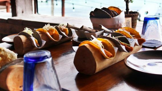 Puerto Morelos: Guided Taco & Tequila Tasting + Roundtrip Transfer