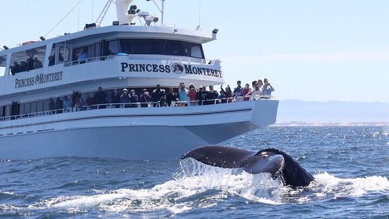 Monterey CountyTours