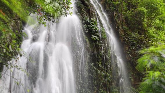 Chongqing, China – One-Day Private Charter Tour to Three Natural Bridges and Fairy Mountain National Forest Park