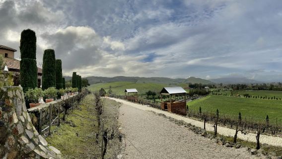From San Francisco: Half-Day Wine Country Tour