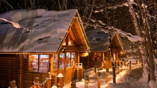 日本北海道旭川動物園+青池【私家包車/中文司機/行程定制】