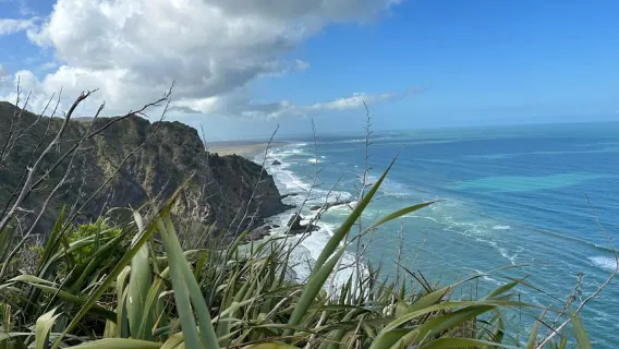 Piha & Karekare – Private Tour außerhalb von Auckland
